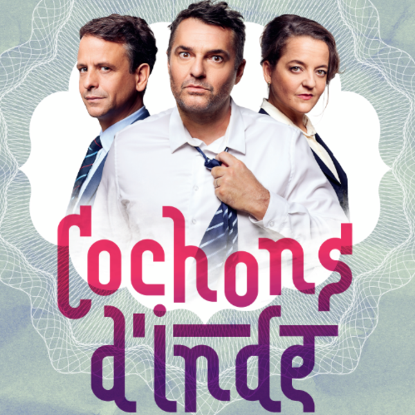 COCHONS D’INDE